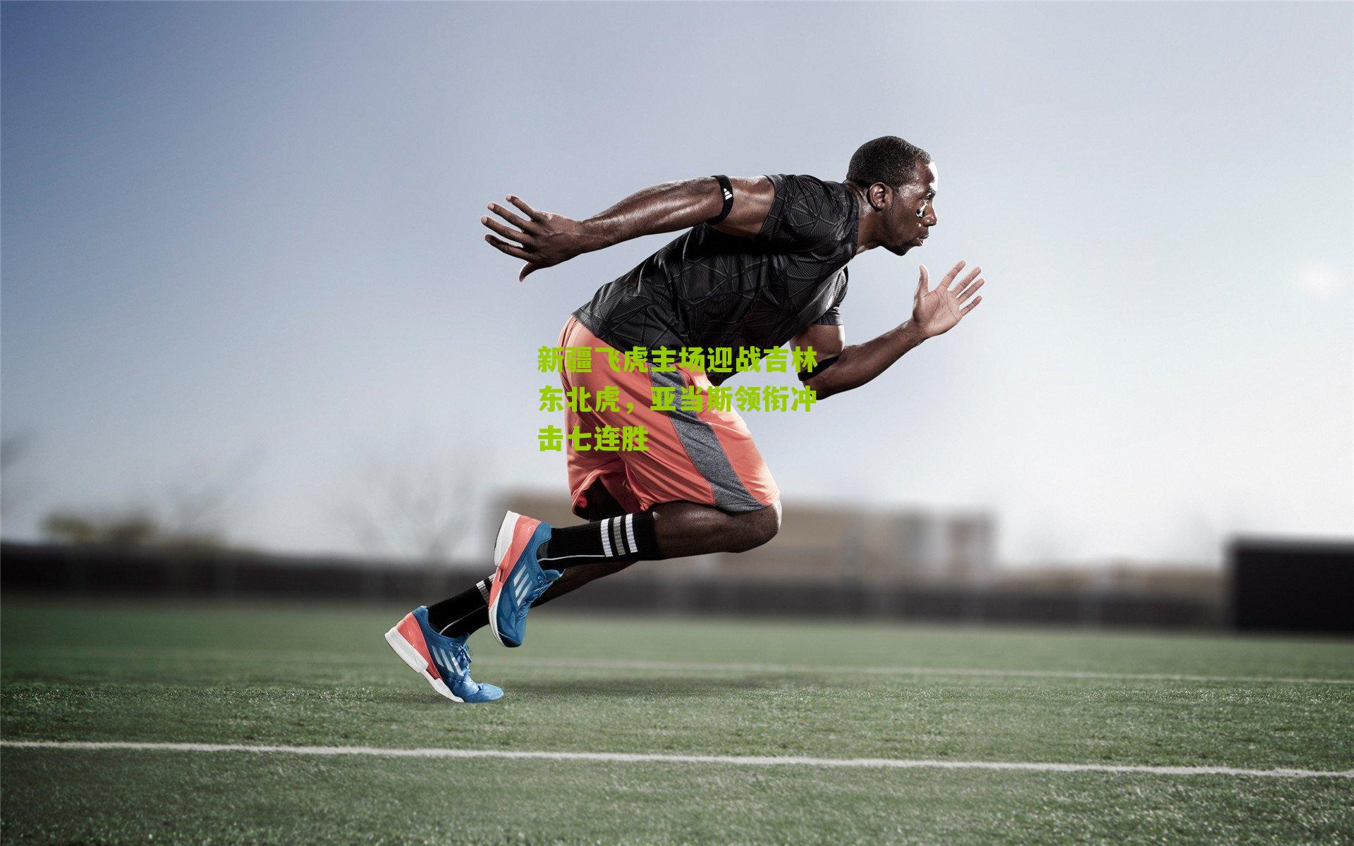 新疆飞虎主场迎战吉林东北虎，亚当斯领衔冲击七连胜